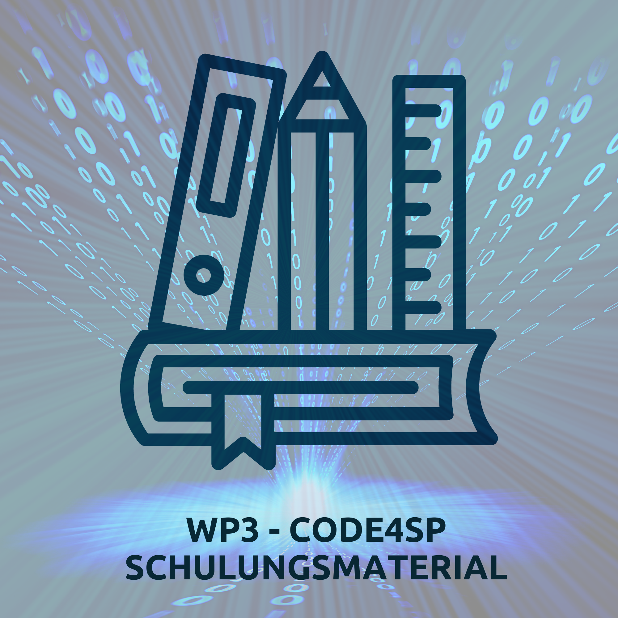 Code4SP Work Packages (1)